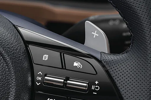 Paddle shifters