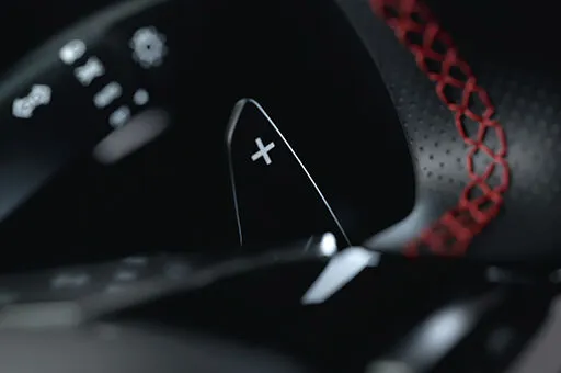 Paddle shifters